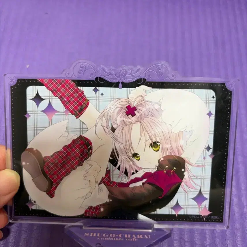 [BUNJANG] Shugo Shugo Acrylic Stand / (새상품)캐릭캐릭체인지 슈고 아크릴스탠드
