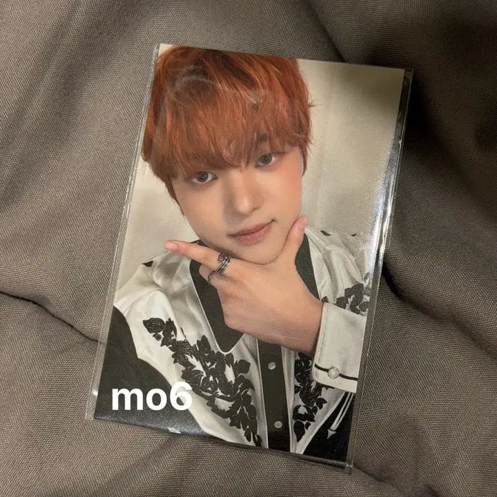 [BUNJANG] ENHYPEN Weverse Shop Popup Photocard Eiji / 앤팀 위온파 팝업 5만원 포카 의주