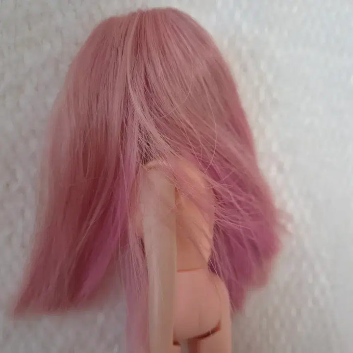 [BUNJANG] Licca-chan Licca Doll Licca Land Tsubasa / 리카짱 리카인형 리카프랜드 츠바사