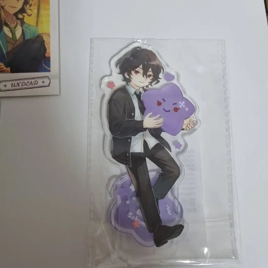 [BUNJANG] Anscca Ray Pasha Paschutz Bundle Set Acrylic / 일괄) 앙스카 레이 파샤 파샷츠 동심 아크릴