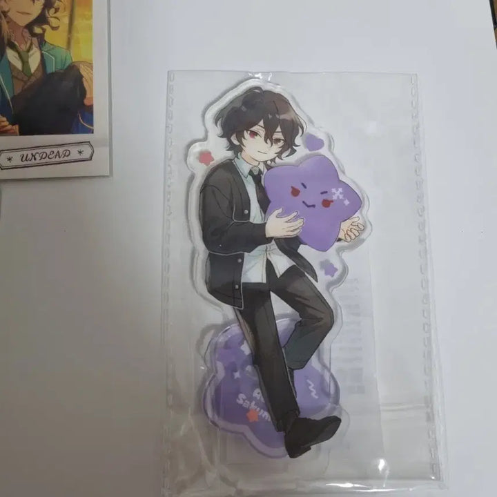 [BUNJANG] Anscca Ray Pasha Paschutz Bundle Set Acrylic / 일괄) 앙스카 레이 파샤 파샷츠 동심 아크릴