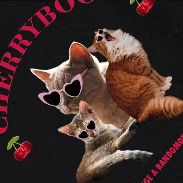 [BUNJANG] Random Off Cherry Bomb Graphic T-Shirt / 랜덤오프 체리붐캣반팔티