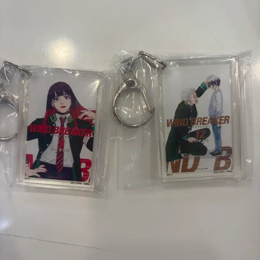 [BUNJANG] Wind Breaker F-Lot Acrylic Keychain / 윈드브레이커 f상 윈브레