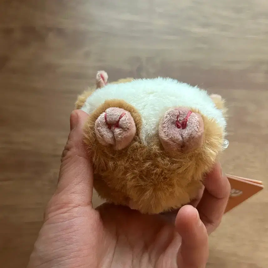 [BUNJANG] Hamuni Geri Hamster Plush Doll / 햄니기리 하무니기리 햄스터인형