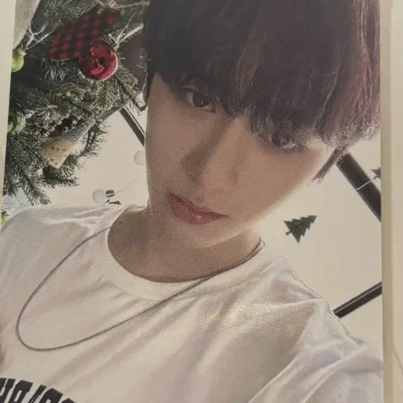 [BUNJANG] TAESAN 2024 SBS Gayo Daejeon Photocard / 태산 2024 sbs 가요대전