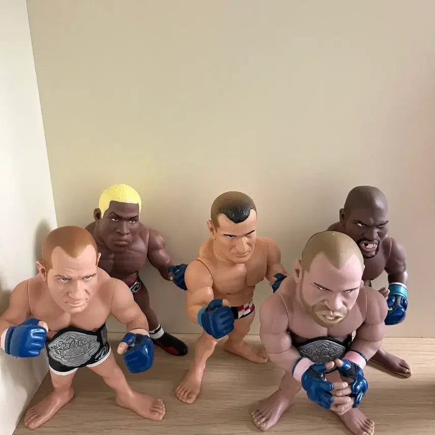 [BUNJANG] HAO Pride Fighter Action Figure Set / hao 프라이드 파이터 액션 피규어 세트
