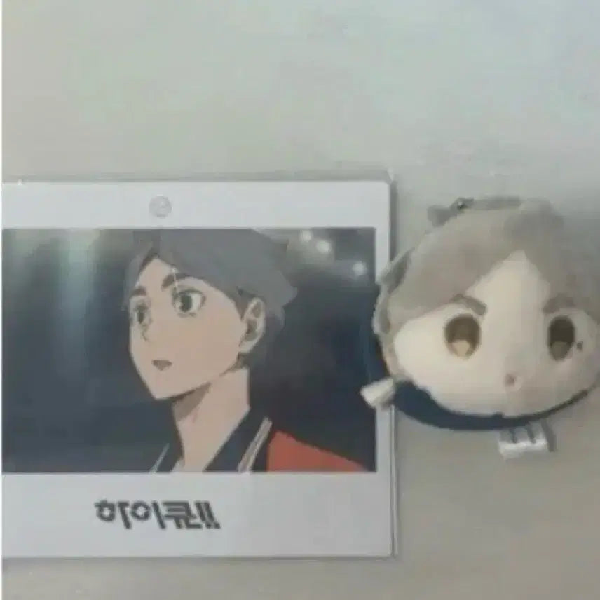 [BUNJANG] Haikyuu Sugawara Koushi Polaroid + Plush Doll Bundle Set / 하이큐 스가와라 코시 폴라로이드 + 인형 일괄양도