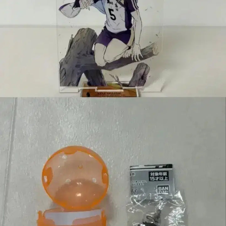[BUNJANG] Haikyuu!! Akaashi Keiji Acrylic Stand &amp; Mezurushi Gacha Keyring Bundle / 하이큐 아카아시 케이지 아크릴 스탠드 + 메지루시 가챠 키링 일괄양도