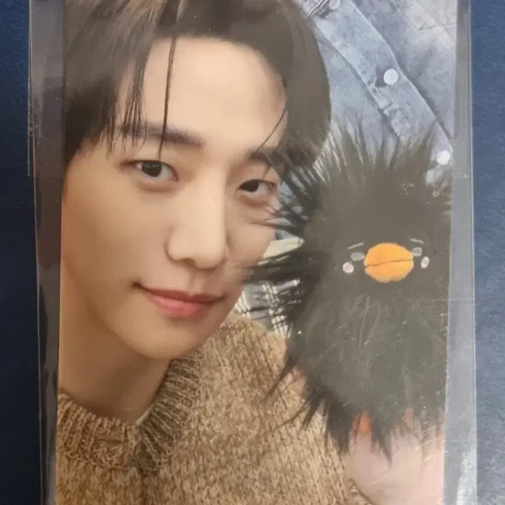 [BUNJANG] Lee Junho PP Pop-up Exclusive Photocard / 이준호 펭펭 팝업 구매특전 포카 1종