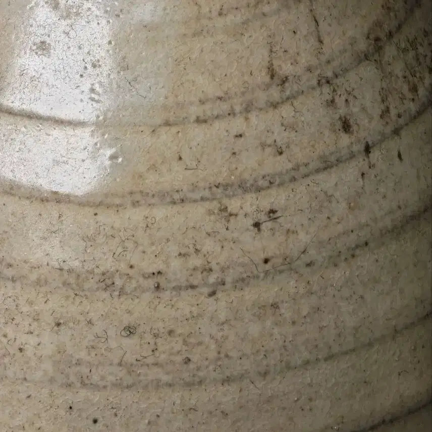 [BUNJANG] Authentic Jin Dynasty White Porcelain &