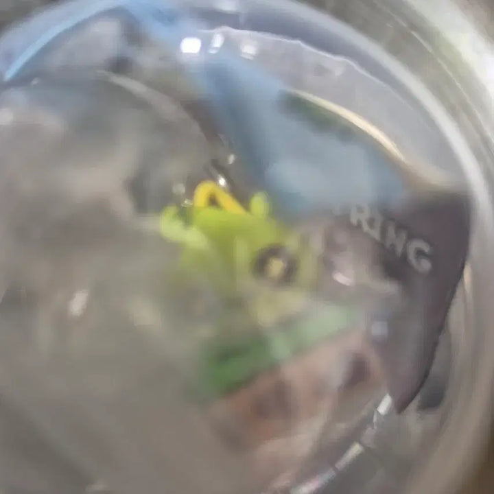 [BUNJANG] MapleStory Lotte World Exclusive Figure Keyring Gacha Set (4 Types) / [한국한정판]메이플스토리 롯데월드 피규어 키링 가챠 4종 세트