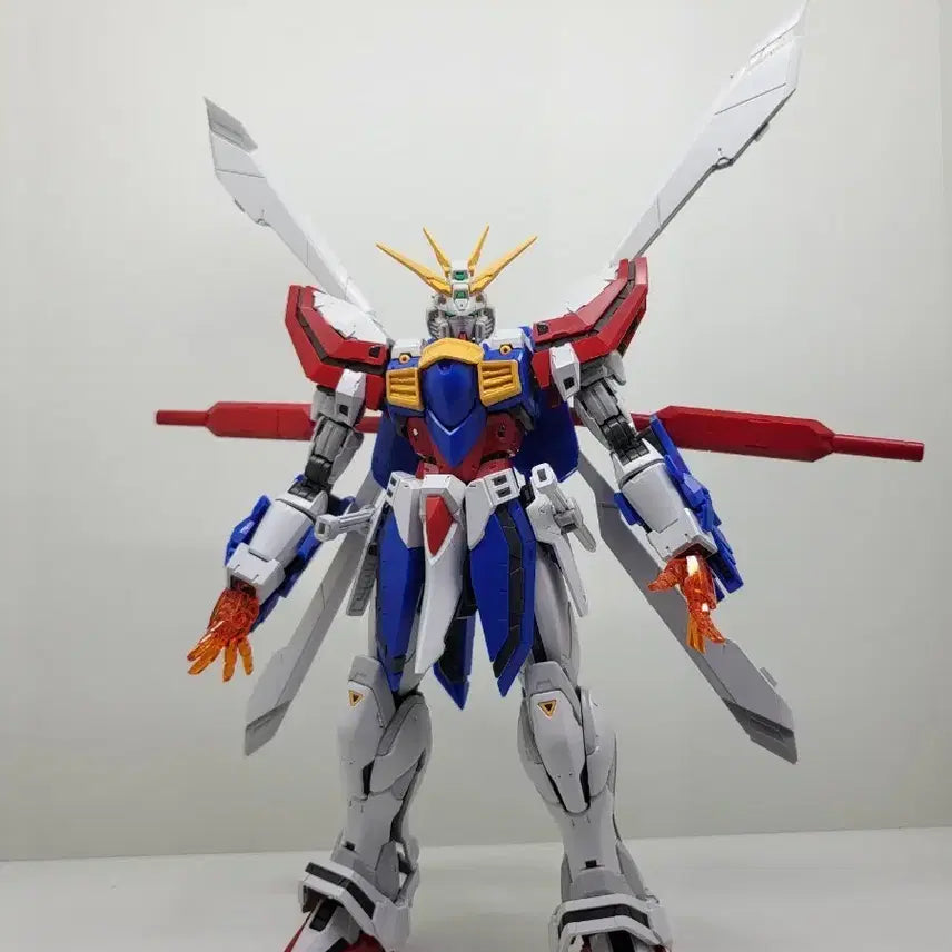 [BUNJANG] Fat Cat 1/100 Scale God Gundam Model Kit / FAT CAT MG 1 / 100 갓건담