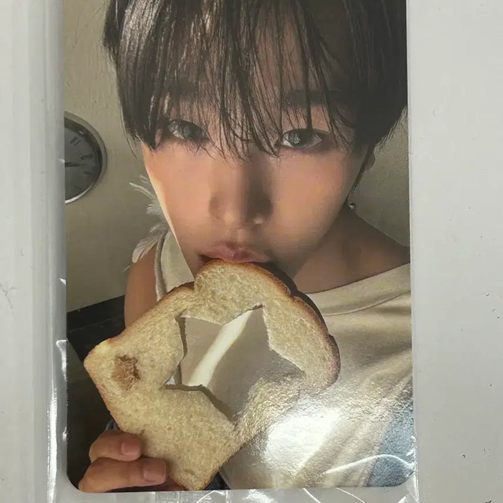 [BUNJANG] NCT-WISH Riku Apple Music Lucky Draw Photocard / 앤시티위시 ode to love 리쿠 애플뮤직 럭드 포카