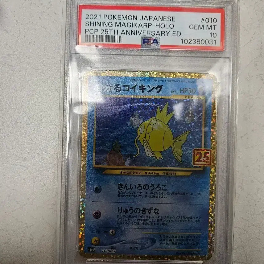 [BUNJANG] Pokemon 25th Anniversary Japanese Gyarados PSA 10 / 포켓몬카드 일판 25주년 잉어킹 psa10