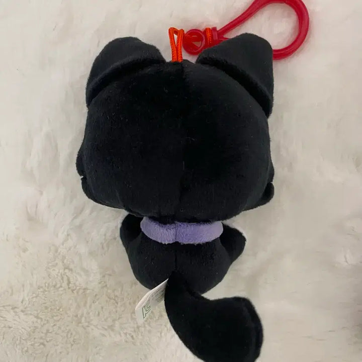 [BUNJANG] NCT WISH Wishcat Kuku Cat Riku Plush Figure Keychain Collaboration Set / 엔시티위시 위시캣 쿠쿠냥 리쿠 인형 피규어 키링 콜라보