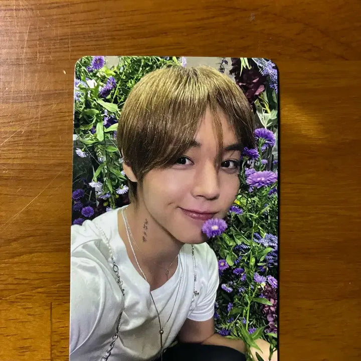 [BUNJANG] Park Ji Hoon Hot &amp; Cold Photocard / 박지훈 hot&amp;cold 앨포