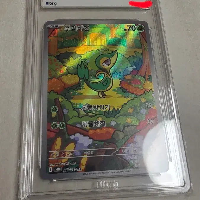 [BUNJANG] Pokemon Juribiyan Full Art BRG9 Card / 포켓몬 주리비얀 풀아트 BRG9 카드