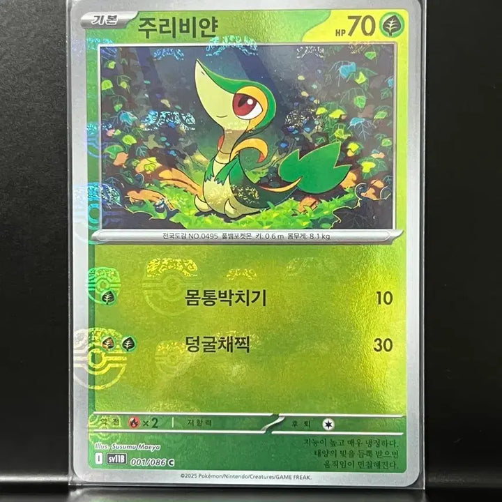 [BUNJANG] Jirachi Master Ball (Darkrai) Pokemon Card / 주리비얀 마스터볼 (블랙볼트) 포켓몬 카드