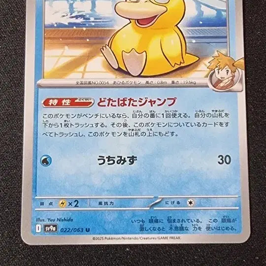 [BUNJANG] Pokemon Psyduck (Japan Edition) / 일판 이슬의 고라파덕