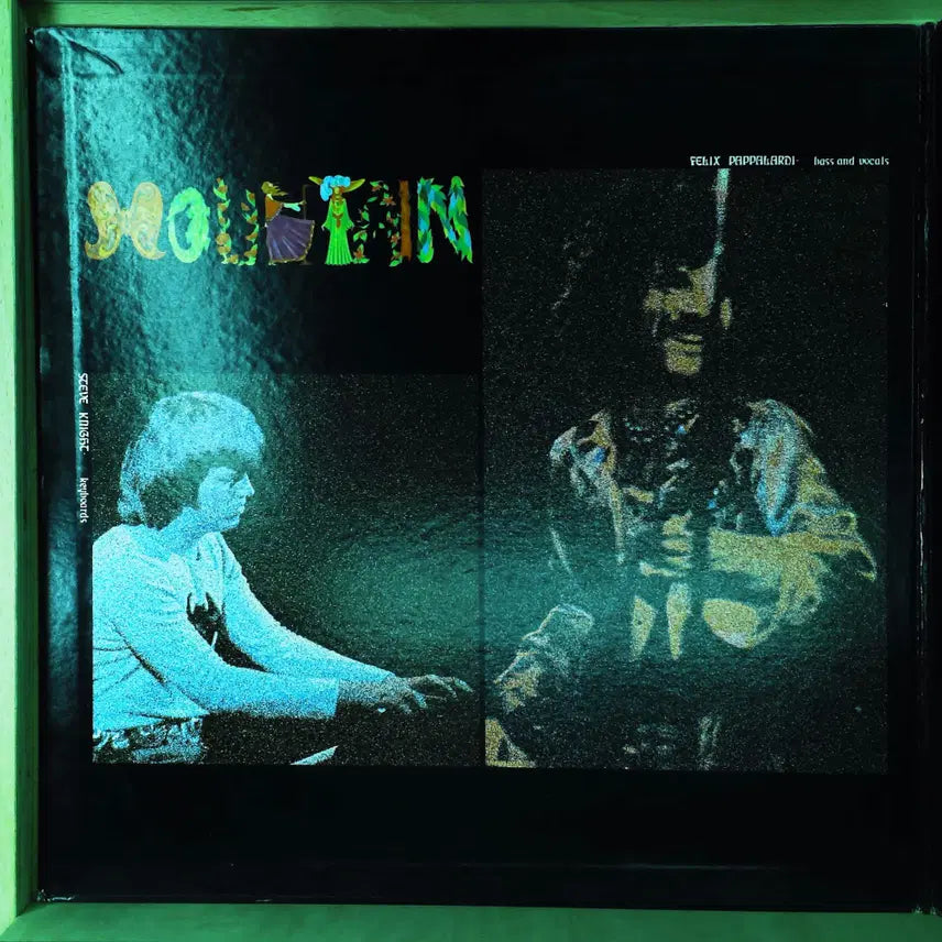 [BUNJANG] Mountain Flowers of Evil 1972 Japanese LP / Mountain Flowers Of Evil 일본 1972년 LP