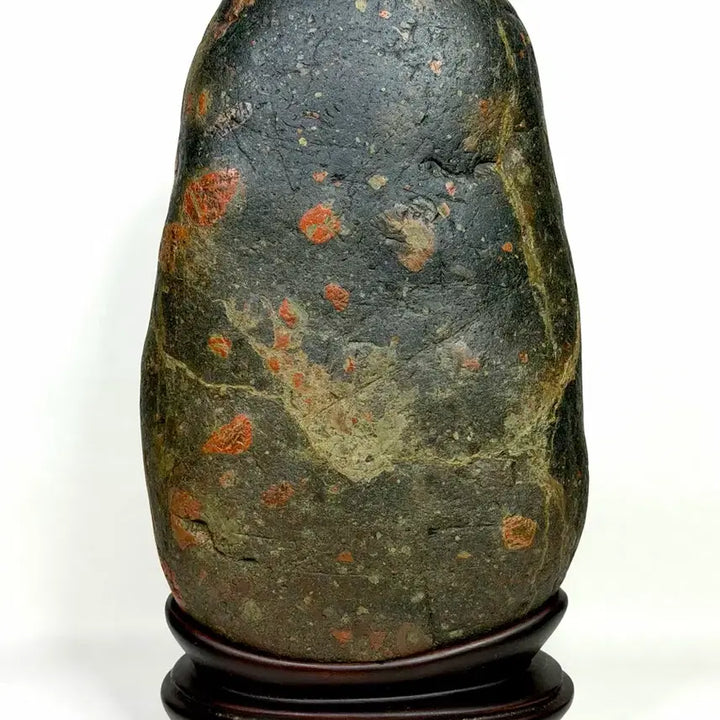 [BUNJANG] Chinese Azalea Stone Scholar Stone / 중국 진달래석 수석 꽃돌