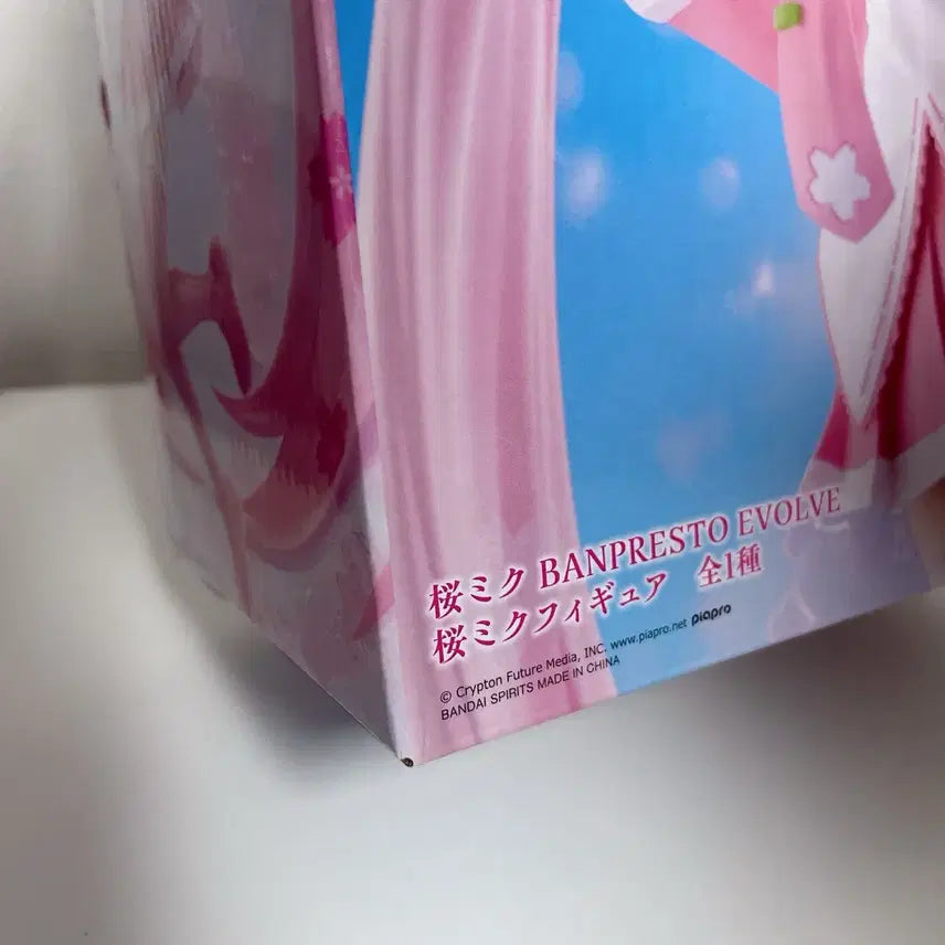 [BUNJANG] Sakura Miku Banpresto EVOLVE Figure (Sealed) / 사쿠라 미쿠 반프레스토 EVOLVE 피규어 미개봉