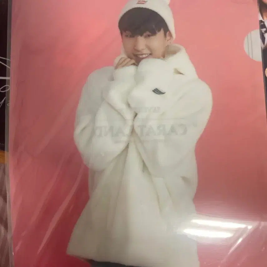 [BUNJANG] SEVENTEEN HOSHI Carat Land Clear File / 캐럿랜드 호시 클리어파일