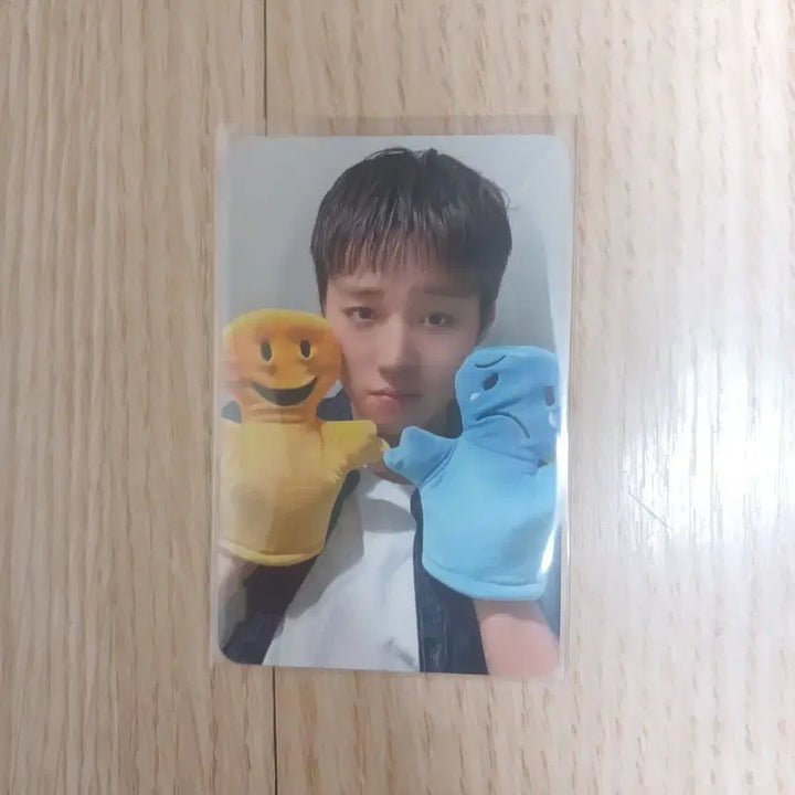 [BUNJANG] Park Jihoon Withmu POB (Concern Doll Ver.) / 박지훈 위드뮤 미공포