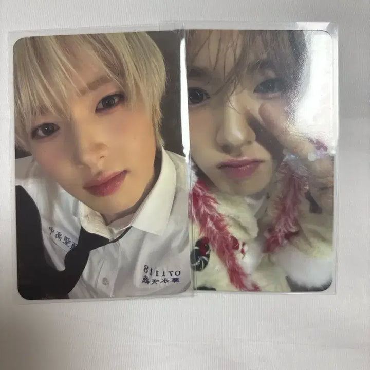 [BUNJANG] NCT WISH Sakuya Odd to Love Limited Edition Photocard Set / 엔시티 위시 사쿠야 odd to love초회한정판포토카드2종 티티가오슝