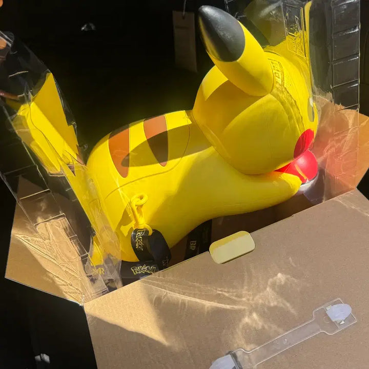 [BUNJANG] Pikachu Container / 피카츄 컨테이너/4만