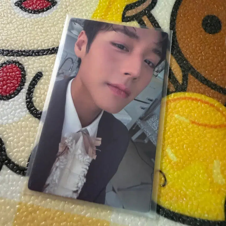 [BUNJANG] Park Jihoon CITER Magazine Photocard / 박지훈 CITER 잡지 포카