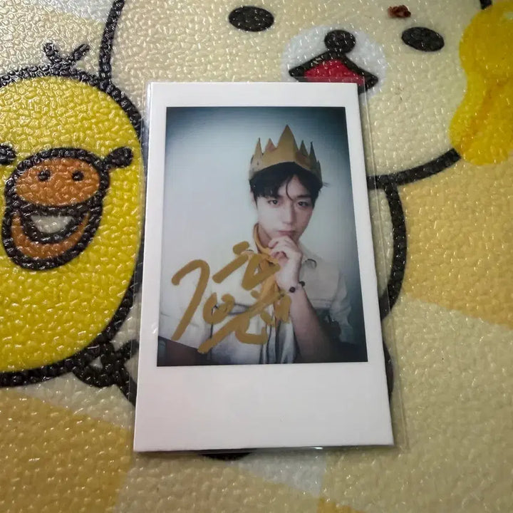 [BUNJANG] Park Ji Hoon CITER Magazine Photocard / 박지훈 CITER 잡지 포카