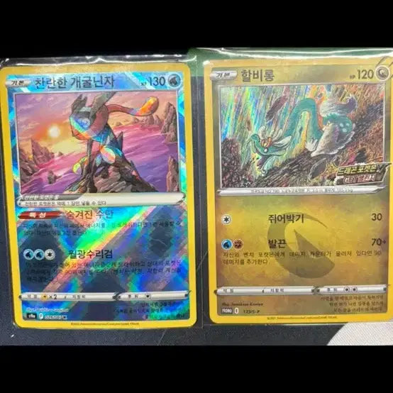 [BUNJANG] Pokemon Card Harpy Long Promo Card &amp; Shiny Greninja Bundle Set / 포켓몬카드 할비롱 프로모카드 &amp; 찬란한 개굴닌자 일괄판매