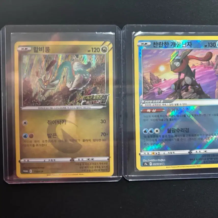 [BUNJANG] Pokemon Card Harpy Long Promo Card &amp; Shiny Greninja Bundle Set / 포켓몬카드 할비롱 프로모카드 &amp; 찬란한 개굴닌자 일괄판매