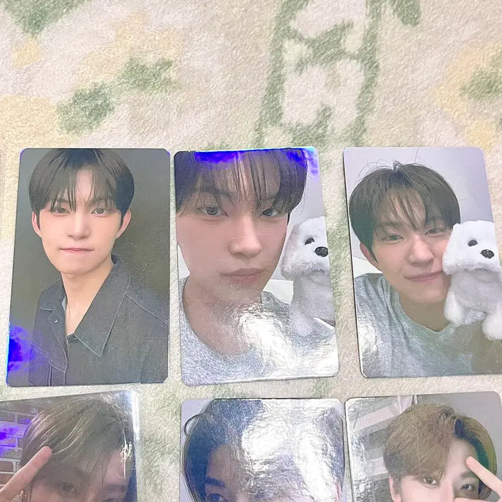 [BUNJANG] Alpha Drive One Gunwoo Photocard / 알파드라이브원 알디원 건우 비공굿즈 포카