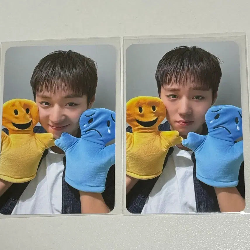 [BUNJANG] Park Jihoon Withmu 1st Face-to-Face Fan Sign POB Set / 박지훈 위드뮤1차 대면팬싸 미공포 세트 1.3(미개봉 앨범 추가 가능)