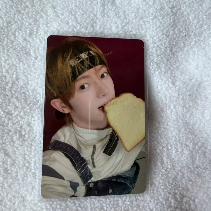 [BUNJANG] TWS Play Hard Lezhin POB Bread Photocard Han Jin / 투어스 play hard 이즈위 미공포 양도 빵포카  한진