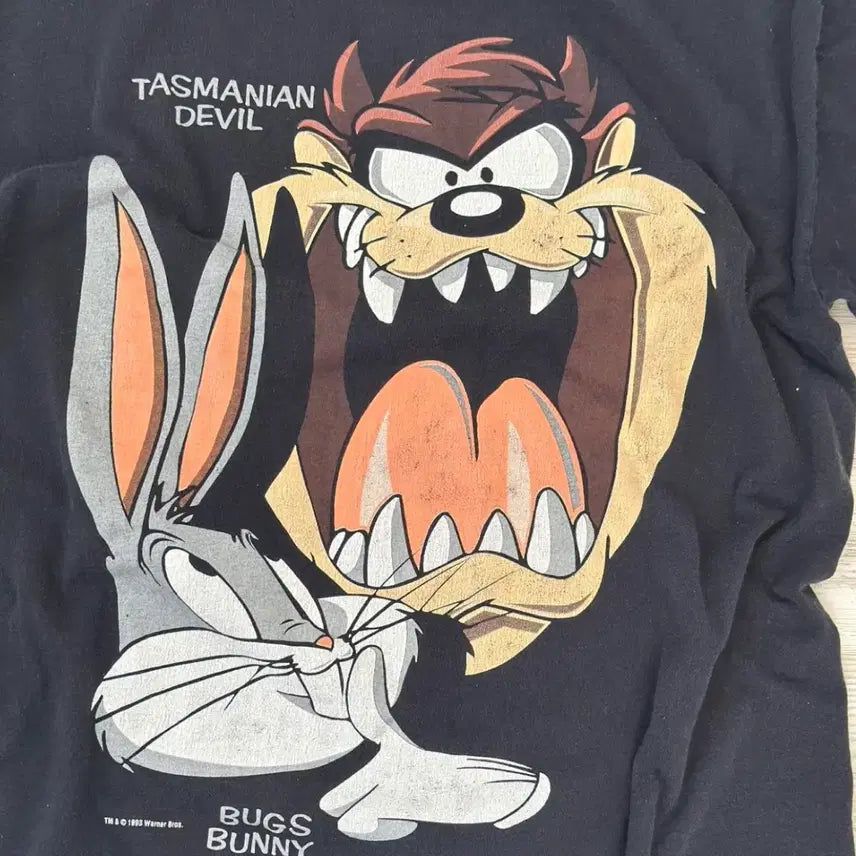 [BUNJANG] Looney Tunes 90s Vintage T-Shirt XL / 90s looney tunes 루니튠즈 빈티지 티셔츠 XL