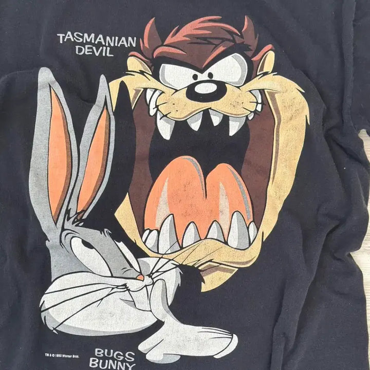 [BUNJANG] Looney Tunes 90s Vintage T-Shirt XL / 90s looney tunes 루니튠즈 빈티지 티셔츠 XL