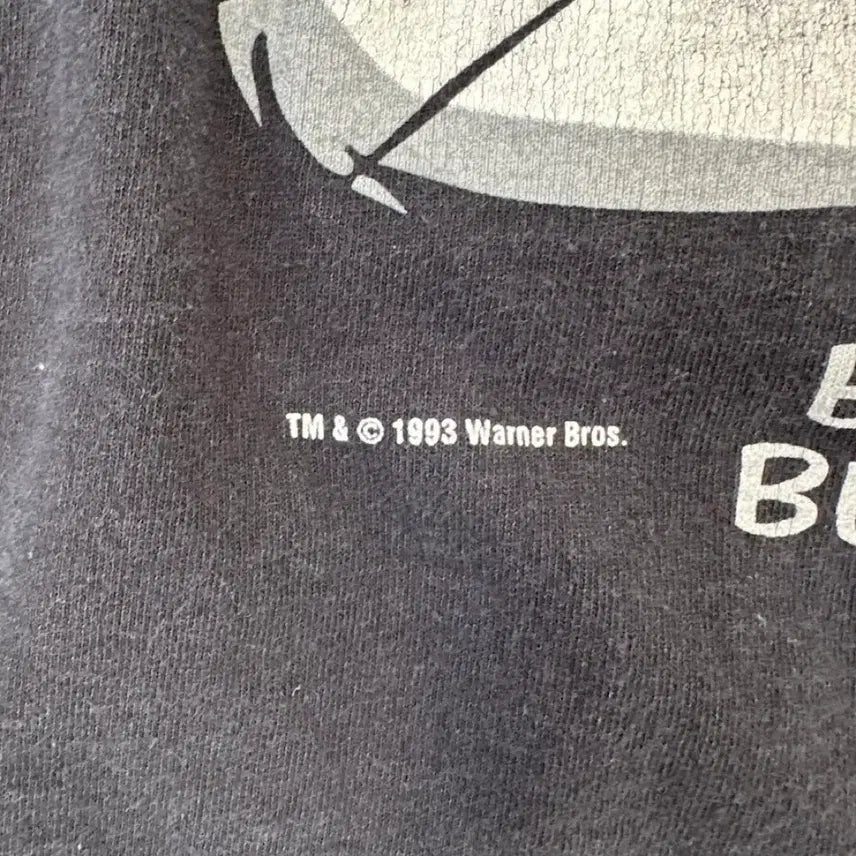 [BUNJANG] Looney Tunes 90s Vintage T-Shirt XL / 90s looney tunes 루니튠즈 빈티지 티셔츠 XL