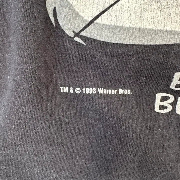 [BUNJANG] Looney Tunes 90s Vintage T-Shirt XL / 90s looney tunes 루니튠즈 빈티지 티셔츠 XL