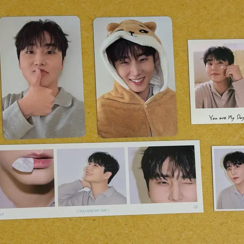 [SOLD OUT] 데이식스 마이데이 6기 키트 분철 영케이