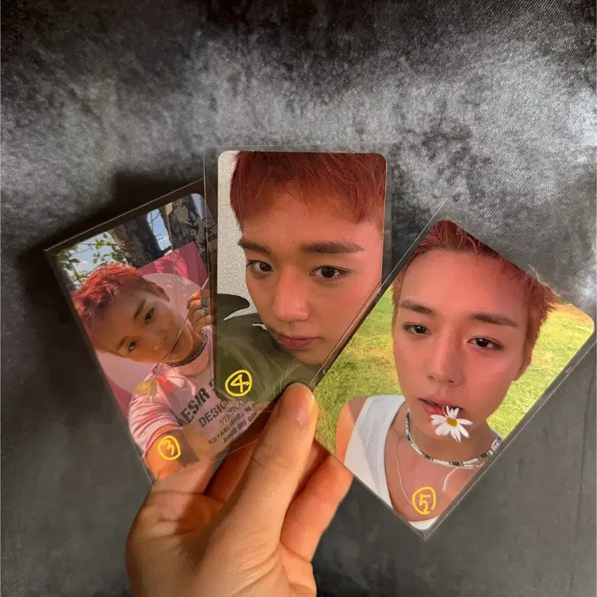 [BUNJANG] Park Ji Hoon Photocard / 박지훈 포카