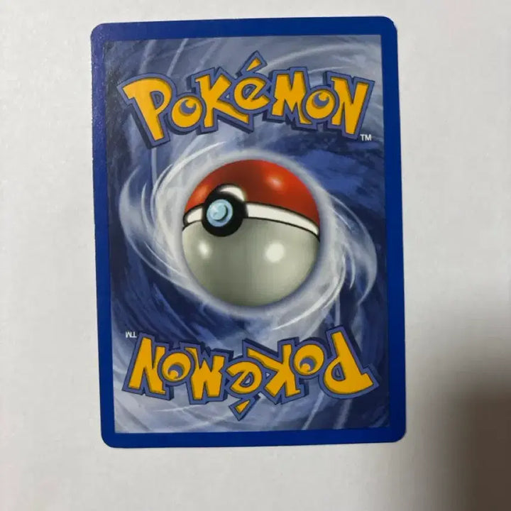[BUNJANG] Pokemon Card Sablé Promo (North America) / 포켓몬 카드 루브도 프로모 북미