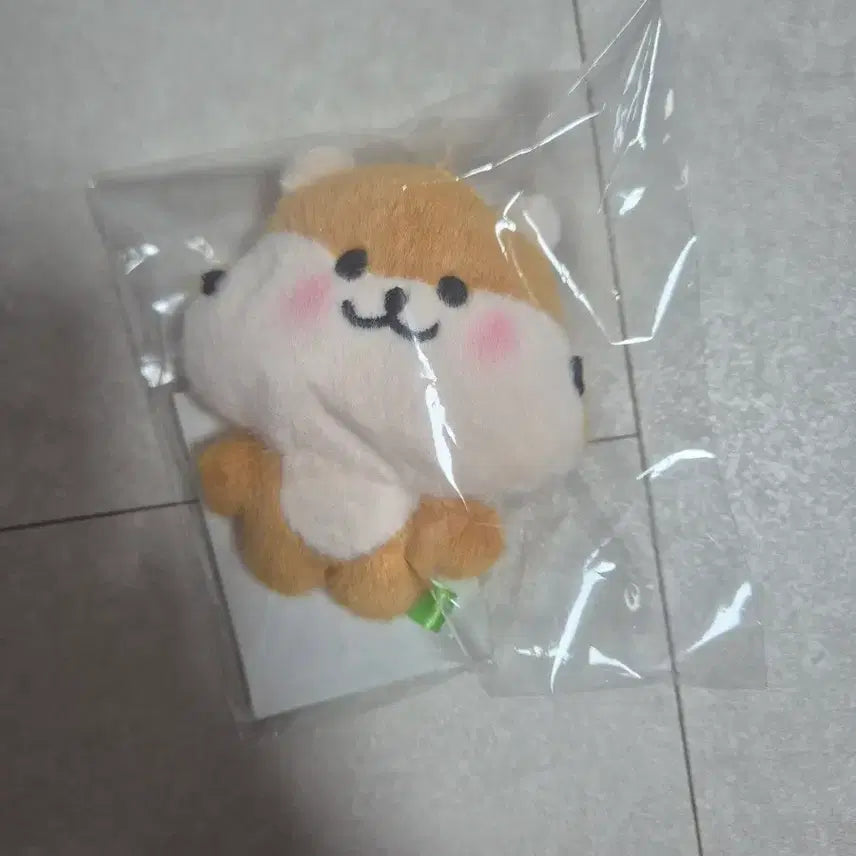 [BUNJANG] fromis_9 Song Hayoung &