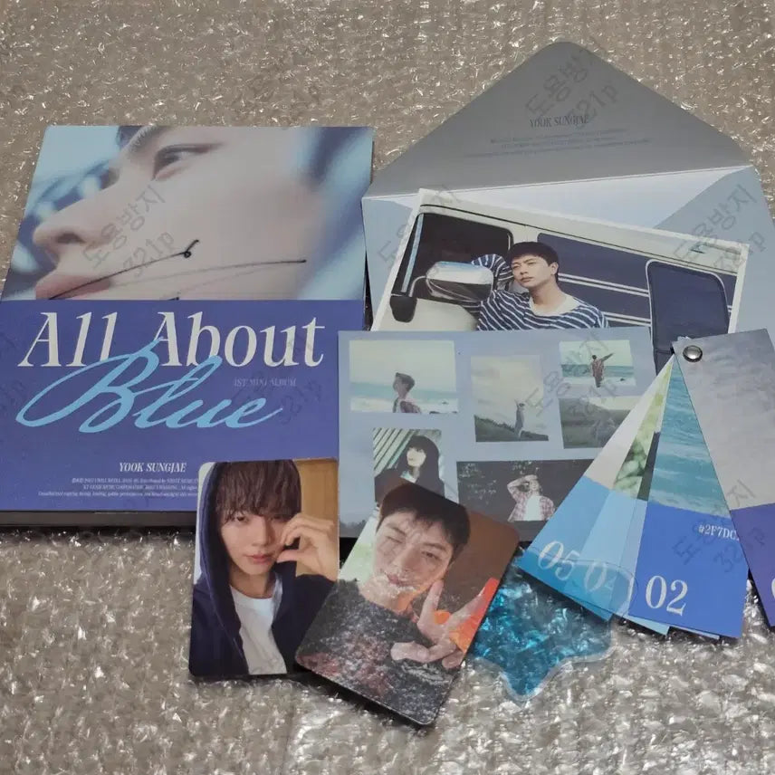 [BUNJANG] BTOB Yook Sung Jae Solo All About Blue Autographed Album / [친필싸인앨범] 비투비 육성재 솔로 All About Blue (비매)