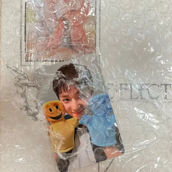 [BUNJANG] Park Jihoon Album Sealed Emotion Doll Photocard / 미개봉 박지훈 앨범 감정인형 포카