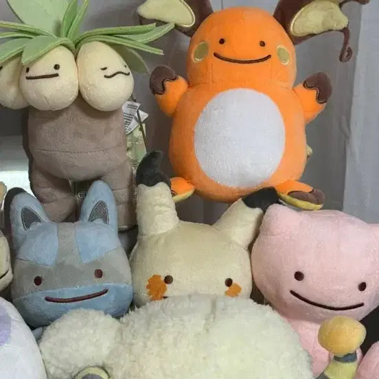 [BUNJANG] Ditto&