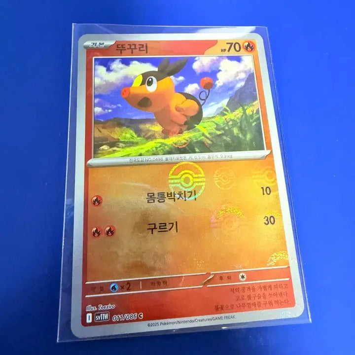 [SOLD OUT] 포켓몬카드 뚜꾸리 몬스터볼 몬볼