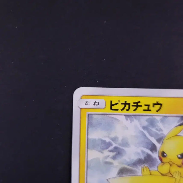 [BUNJANG] Pokemon Pikachu Dream League Japanese Card 2019 / 피카츄 2019년 드림리그 포켓몬카드 일본판 일판